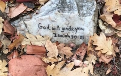 God-Directed Diversions