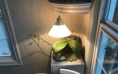 A NEW WINDOW OF REVELATION