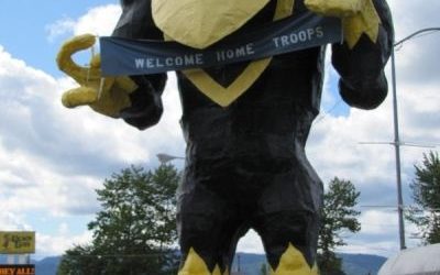 A BEAUTIFULLY AWKWARD PRESENCE