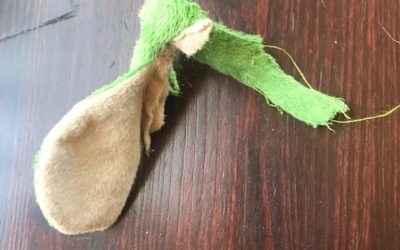 A LESSON FROM MR. FROGGY