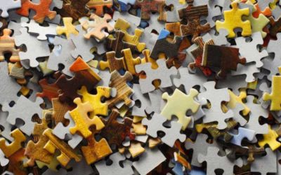 ONE PIECE OF A MUCH LARGER PUZZLE