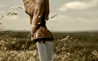 THE SWORD OF GOD’S TRUTH