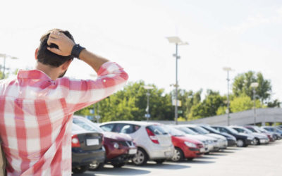 FINDING OUR WAY HOME