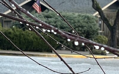 THE SHAKER OF NATIONS