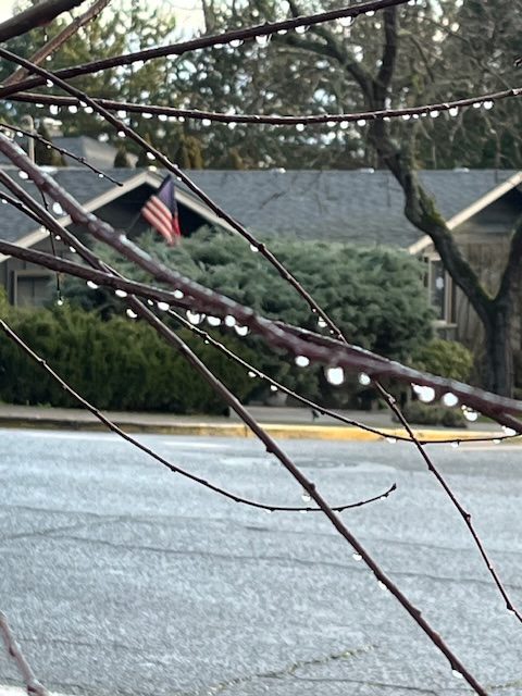 THE SHAKER OF NATIONS