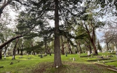 SIGNS OF REMEMBRANCE