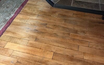 INTERPRETING THE SOUNDS OF TRUTH