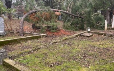 BENT, BUT NOT BROKEN