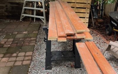 THE EVIDENCE OF OUR LIVES