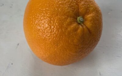 THE CHRISTMAS ORANGE