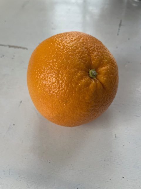 THE CHRISTMAS ORANGE