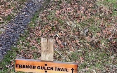 READING THE SIGNS OF THE TIMES