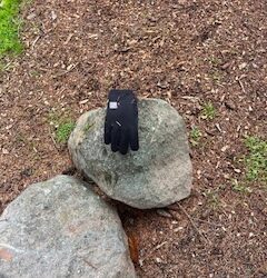 SOME THINGS DON’T BELONG TO US