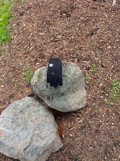 SOME THINGS DON’T BELONG TO US