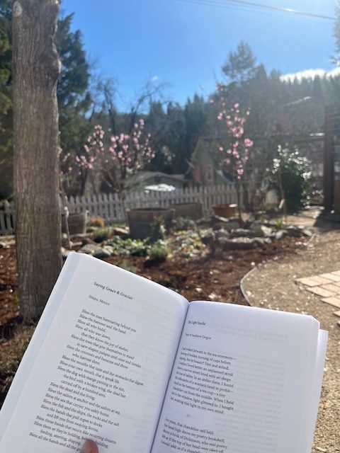 SEEING THIS LIFE THROUGH GOD’S EYES